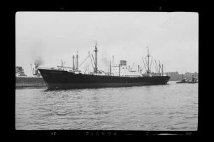 Bieberstein (1953), Frachtschiff, Norddeutscher Lloyd, Bremen, Bau-Nr. 824