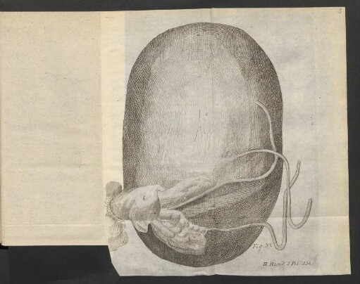 Fig. 32.