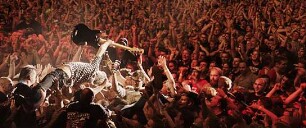 Weil du nur einmal lebst - Die Toten Hosen auf Tour
