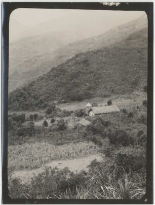 Anbau von Banane, Zuckerrohr und Apfelsinen in Consata