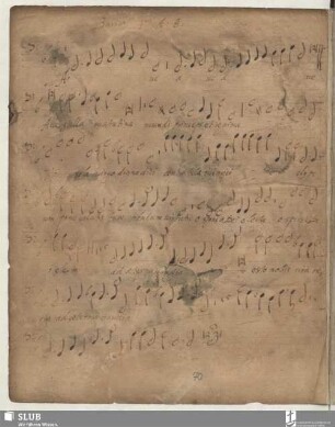 Anonymus: Ave stella matutina