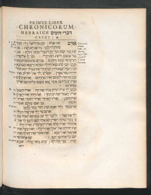 Primus Liber Chronicorum. Hebraice [...] Caput 1. - 29.