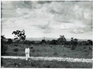 Goiás, Savannenlandschaft