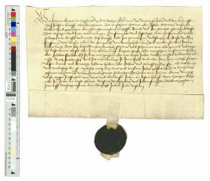 Graf Johann IV. von Nassau bestätigt die Privilegien der Stadt Siegen.