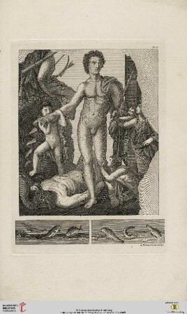 Plate I-XX