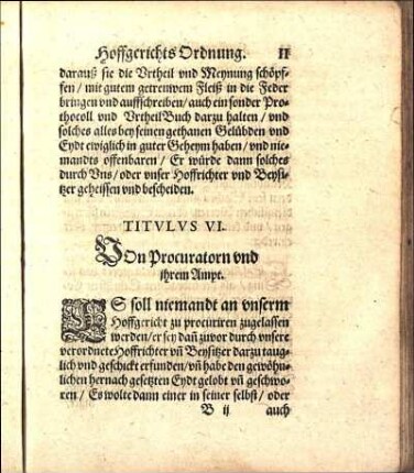 Titvlvs VI. VOn Procuratorn vnd ihrem Ampt.