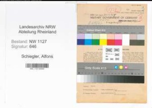 Entnazifizierung Alfons Schiegler , geb. 27.03.1903 (Reichsbankrat)