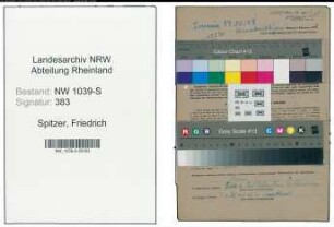 Entnazifizierung Friedrich Spitzer , geb. 25.11.1903 (Angestellter)