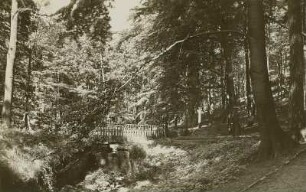 Dresden-Weißer Hirsch, Kurpark, im Stechgrund (Steiggrund)