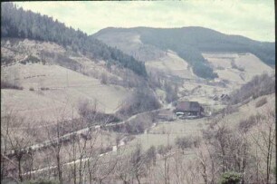 Suggental