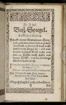 Buß-Spiegel