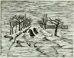 Straße im Winter