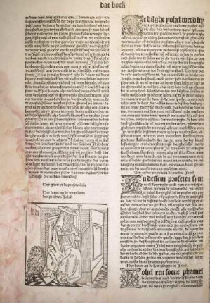 [Hyr heuet an de vorrede in den profeten Johel]