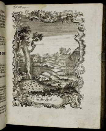 Tab. XXII. pag. 212.