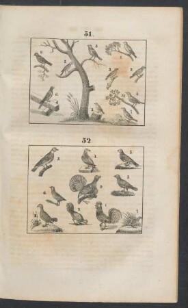 Tafel: [51. - 80.]