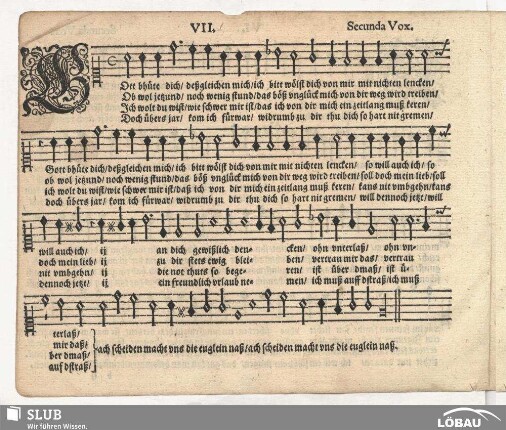 VII. Gott b'hüte dich