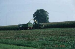 Fotografie: Ernteverfahren, Feldhäcksler selbstfahrend, Maissilage, Parallelverfahren