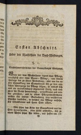 17-19, §. 1. Wachsthums-Geschichte der Baumpflanzen überhaupt