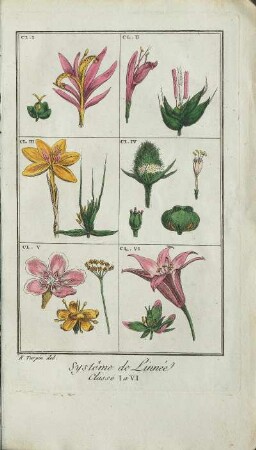 Illustration: Systême de Linnée. Classe I a VI