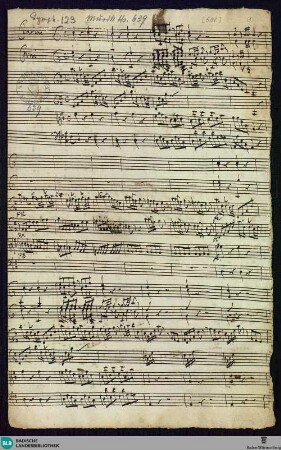 Symphonies - Mus. Hs. 639 : orch; D; BrinzingMWV 7.151