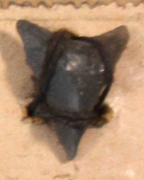 Stone arrowhead