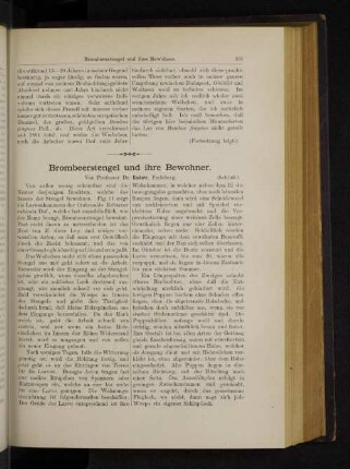 Brombeerstengel und ihre Bewohner.