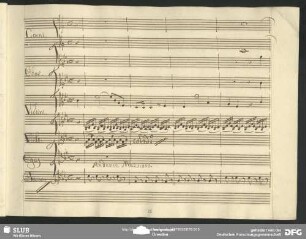 Cavatina: "Pensieri miei torbidi"