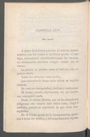 Capítulo LXIV. - ¡Era tarde!
