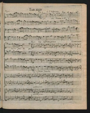 Tab. XXXIV