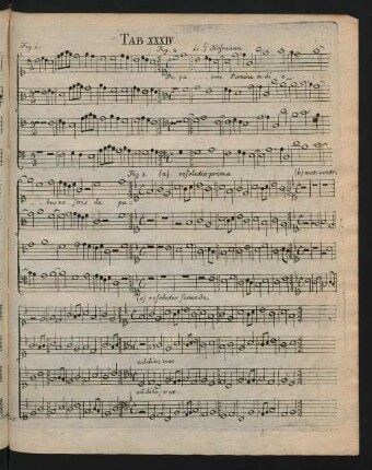 Tab. XXXIV