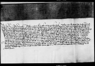 Heinrich von Werdnau, der in dem Kaufbrief über den Zehnten zu Grabenstetten als Gewer und Mitfertiger genannt ist, verschreibt sich dafür noch besonders, weil sein Name in der Urkunde auf Radierung steht.