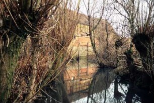 Bachlauf mit Weiden, hinten ein Haus