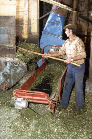 Fotografie: Ein- und Auslagerungstechnik, Maissilage, Fördergebläse, Handarbeit