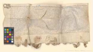 Altmärkische und prignitzsche Städte verschreiben sich dem Domkapitel zu Havelberg über 1.000 Gulden.