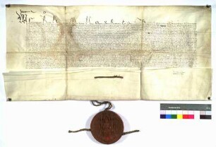 König Friedrich bestätigt die durch König Albrecht im Jahr 1299 und König Sigismund im Jahr 1415 der Stadt Rottweil verliehenen Privilegien. [Die Urkunden sind inseriert]