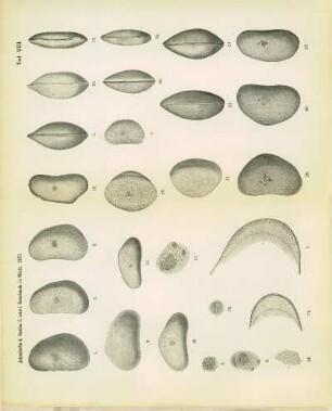 Tafel VIII