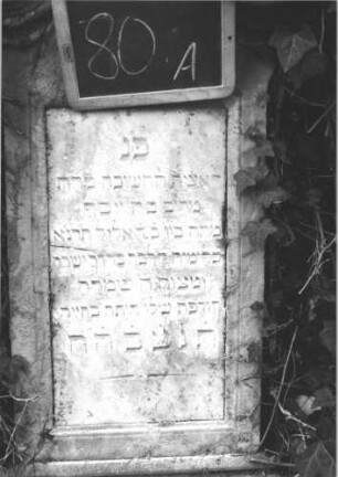 Grabstein 76 (Index: 99805341) Material: Sandstein, weiße Marmorplatte Zustand: verwittert, obere Schriftplatte quer gesprungen, untere entfernt Maße HxBxT: 142x41x25 cm Beschreibung: Stele, getreppter Sockel, giebelartiger Abschluß mit Verdachung und Eckakroteren, Schriftplatte: Grabstein 76 (Nachholaufnahme)