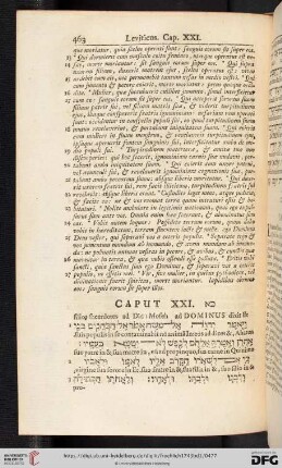 (Caput XXI - XXVII)