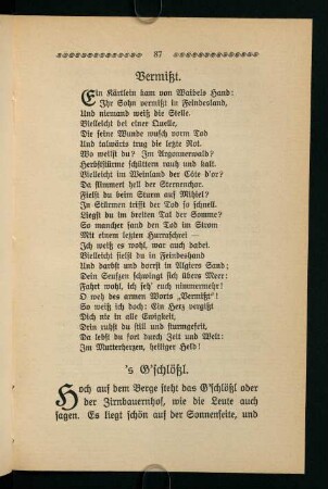 87-110, Vermißt - Im Lazarett