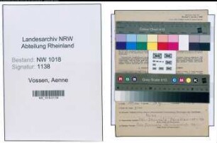 Entnazifizierung Aenne Vossen , geb. 02.05.1904 (Kaufmaennische Angestellte)