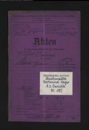 Aufruhr (Zugehörigkeit zur "Roten Armee" oder zur "Roten Garde") Pecher, Hermann