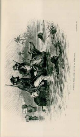 Fording Tampassuk River on buffaloes