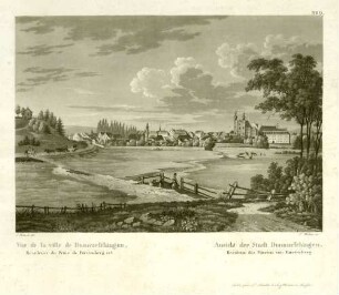 Ansicht der Stadt Donaueschingen, Residenz des Fürsten von Fürstenberg - Vue de la ville de Donaueschingen, Residence du Prince de Fürstenberg ect.