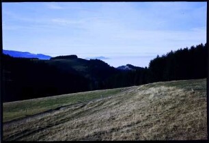 Otten (Berg): vom Otten gegen Dreisamtal, Vordergrund grüne Saat