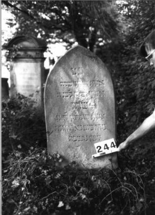 Grabstein 244 (Index: 100085066) Maße HxBxT: 140x56x20 cm Beschreibung: Stele, profiliert. Sockel, Spitzbogenabschluß, Schriftfeld eingetieft m. Maßwerkform: Grabstein 244