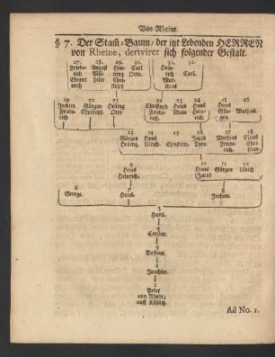 § 7. Der Stamm-Baum/ der itzt Lebenden Herren von Rheine, deriviret sich folgender Gestalt