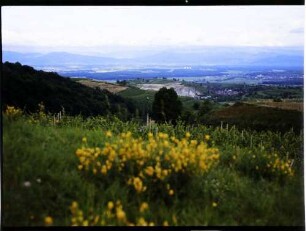 Vogtsburg: Fernblick vom Pass Vogtsburg zur Freiburger Bucht