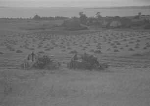 Rambin. Landwirtschaftliche Produktionsgenossenschaft (LPG), Mähdrescher bei der Arbeit auf dem Feld