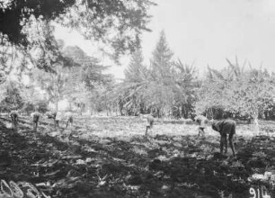 Ackerbau : Blick auf einen Acker mit Personen