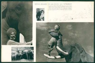 Kipling animado en las selvas que popularizo